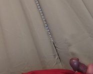 Fegu_lickingBoy1